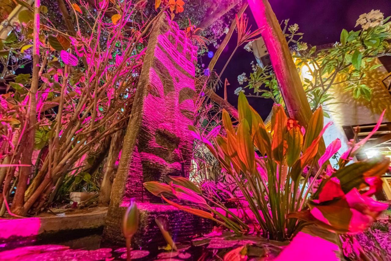 Hotel Vilarejo Barra Grande Barra Grande  Zewnętrze zdjęcie